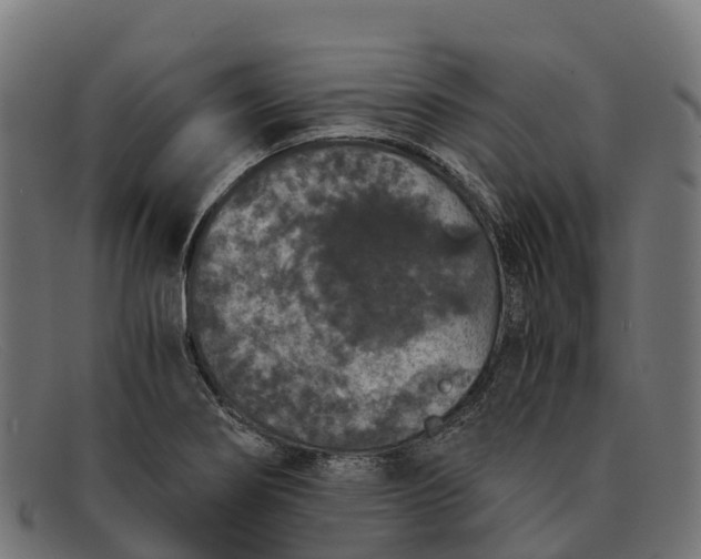 X0000091681274200709131540