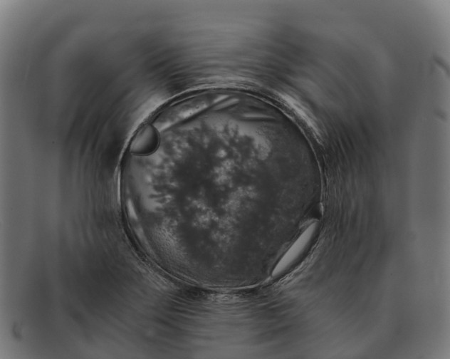 X0000091681275200709131540