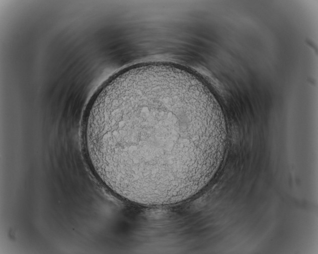 X0000091681278200709131540