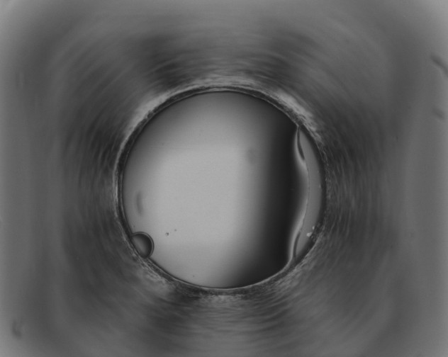 X0000091681280200709131540