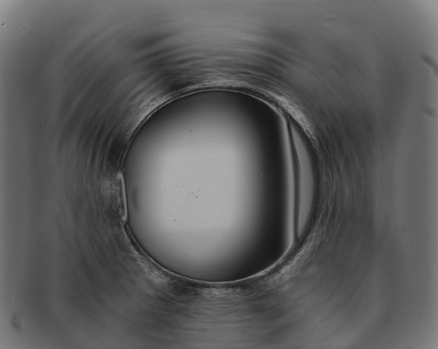 X0000091681281200709131540