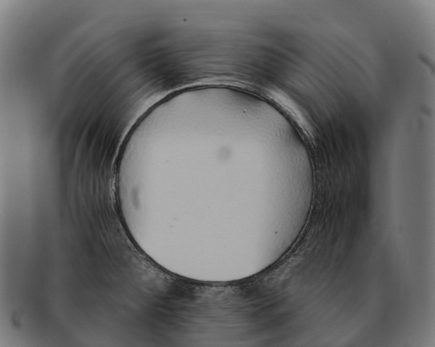 X0000091681284200709131540