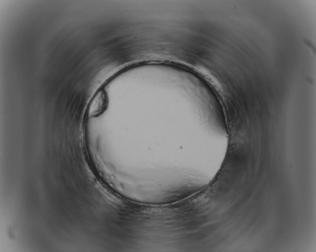 X0000091681287200709131540