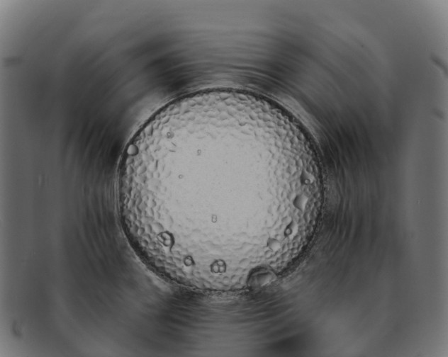 X0000091681290200709131540