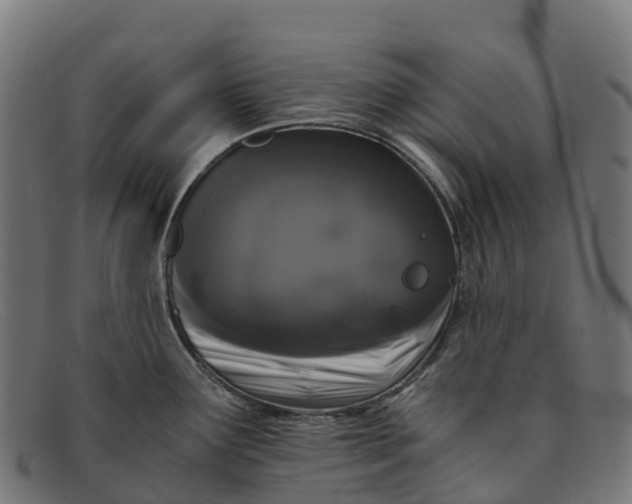 X0000091681291200709131540