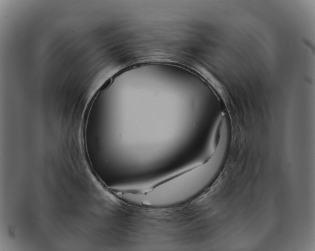 X0000091681293200709131540
