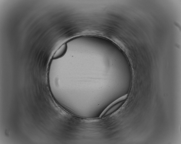 X0000091681296200709131540