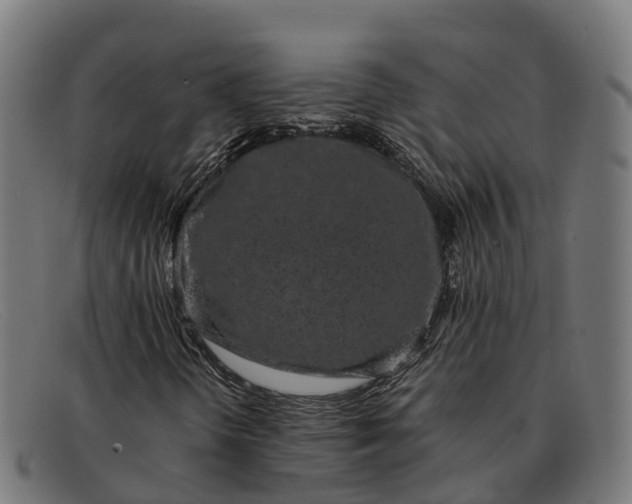X0000091681298200709131540