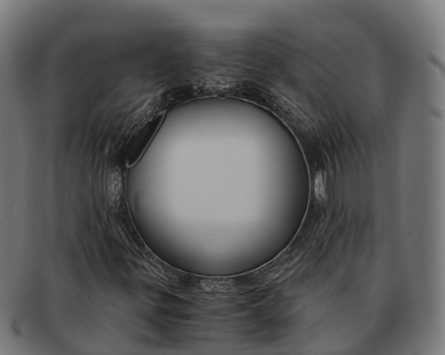 X0000091681299200709131540