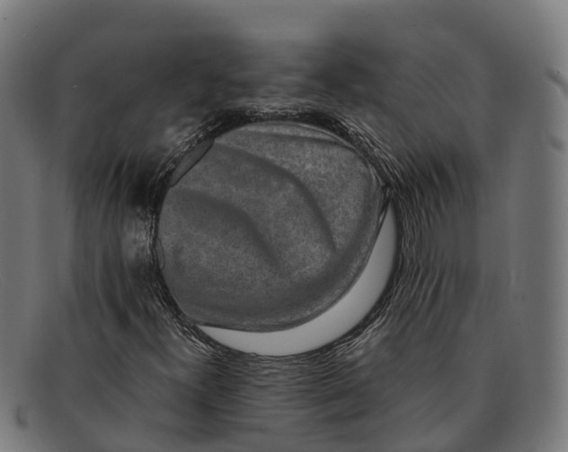 X0000091681300200709131540