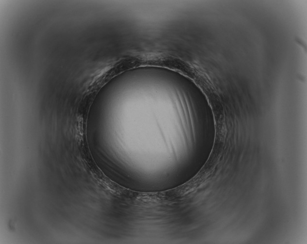 X0000091681301200709131540