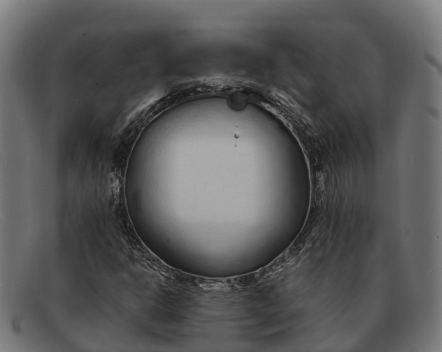 X0000091681302200709131540