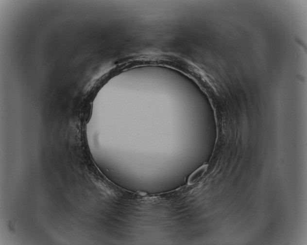 X0000091681304200709131540