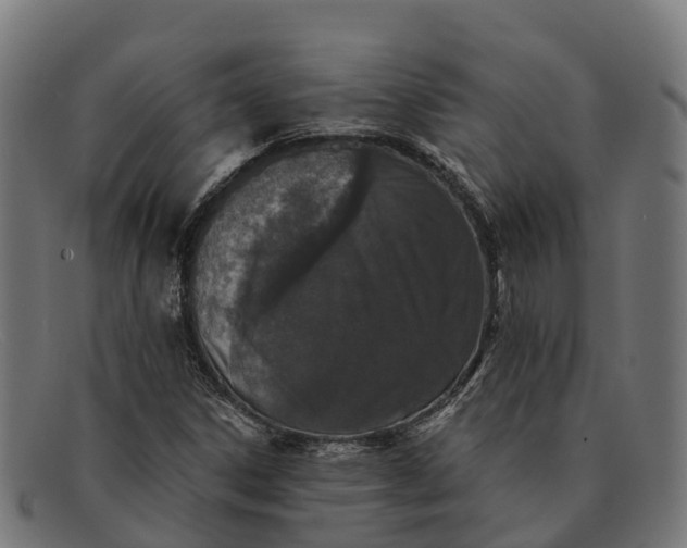 X0000091681306200709131540