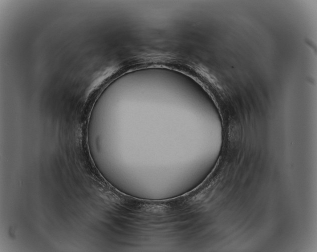 X0000091681309200709131540