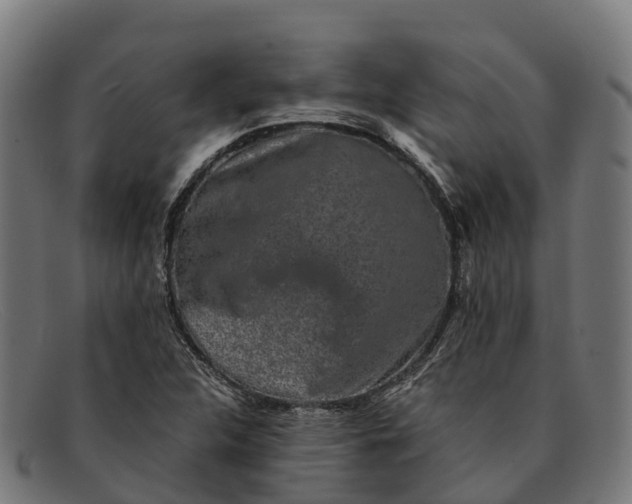 X0000091681312200709131540