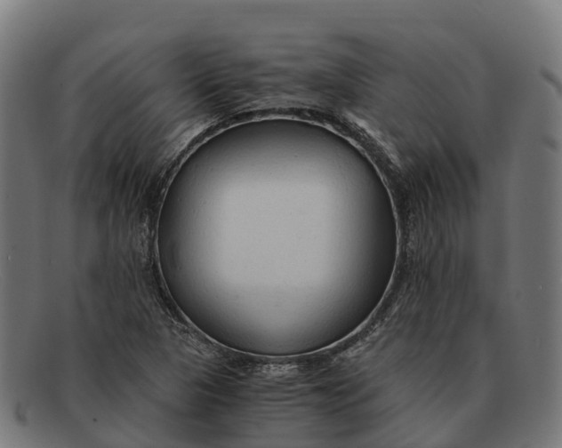 X0000091681313200709131540