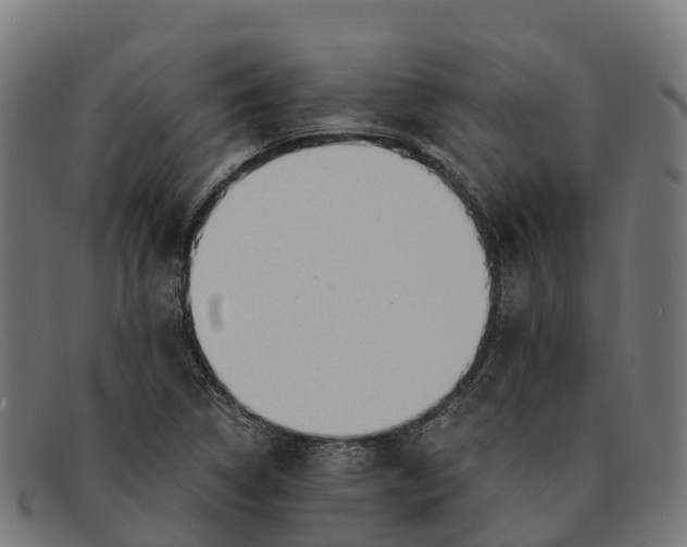 X0000091681314200709131540