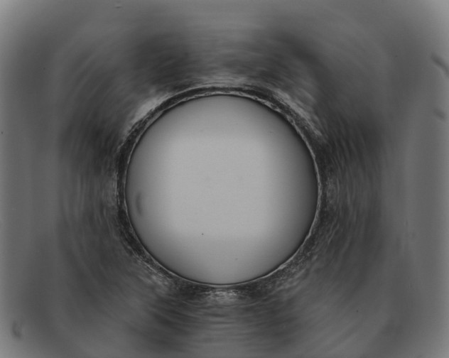 X0000091681315200709131540