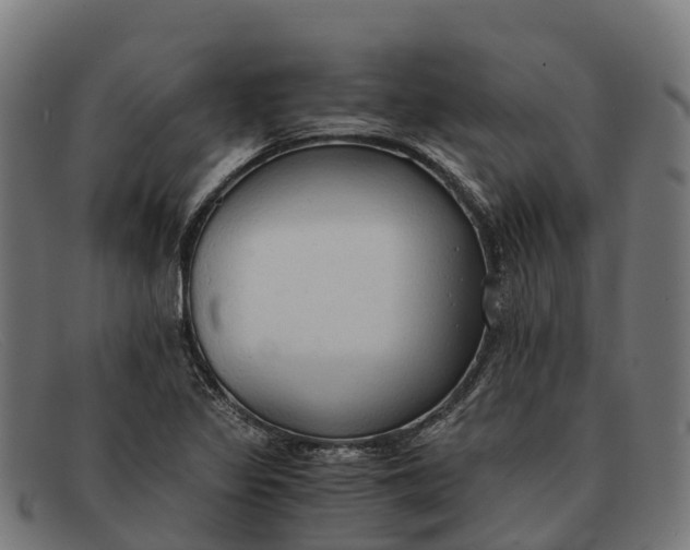 X0000091681317200709131540