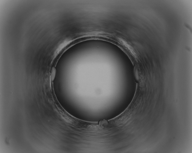 X0000091681320200709131540
