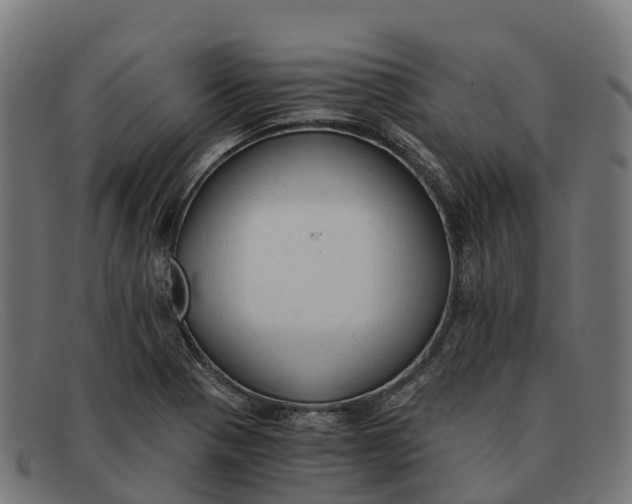 X0000091681321200709131540