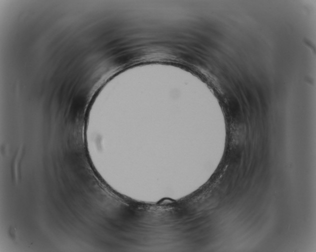 X0000091681322200709131540