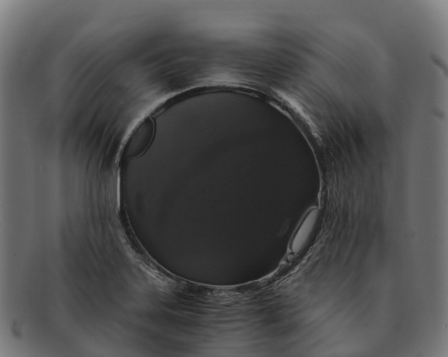 X0000091681323200709131540