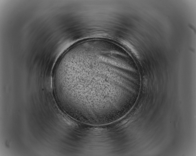 X0000091681324200709131540