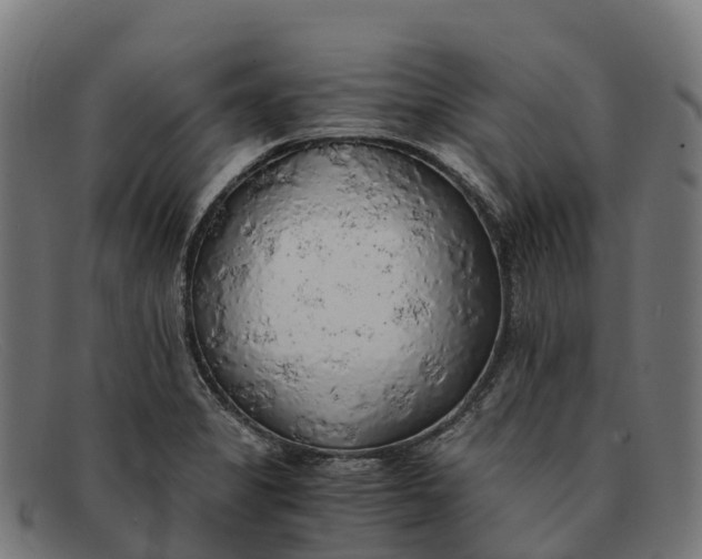 X0000091681325200709131540