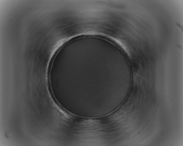 X0000091681327200709131540