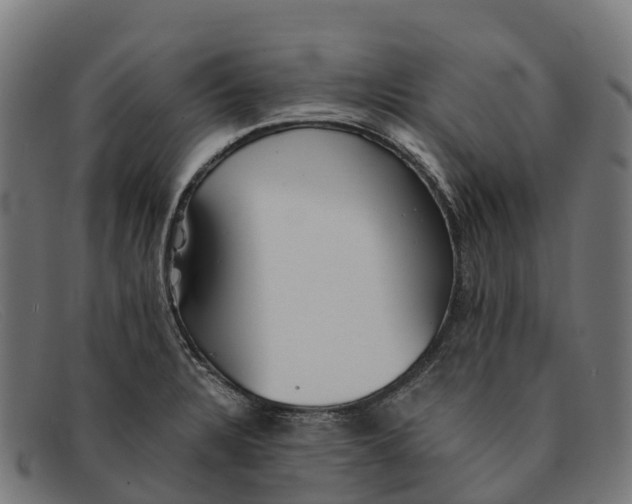 X0000091681328200709131540