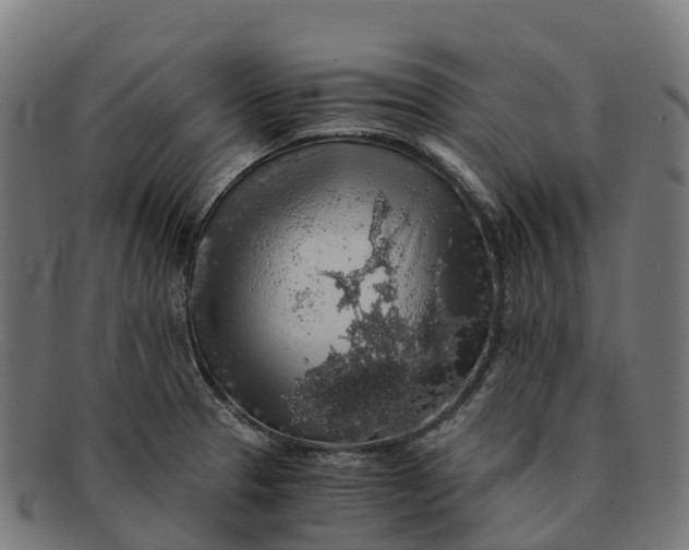 X0000091681329200709131540