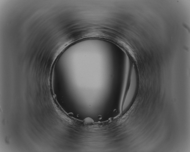 X0000091681330200709131540