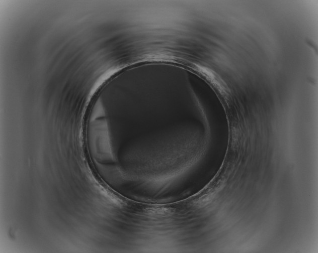 X0000091681331200709131540