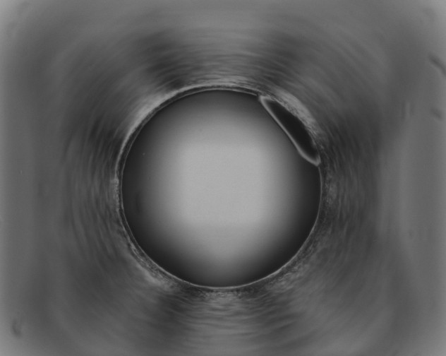 X0000091681332200709131540