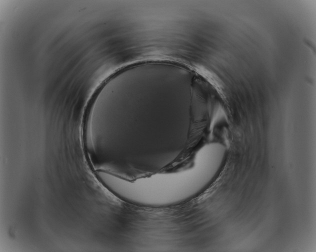 X0000091681334200709131540