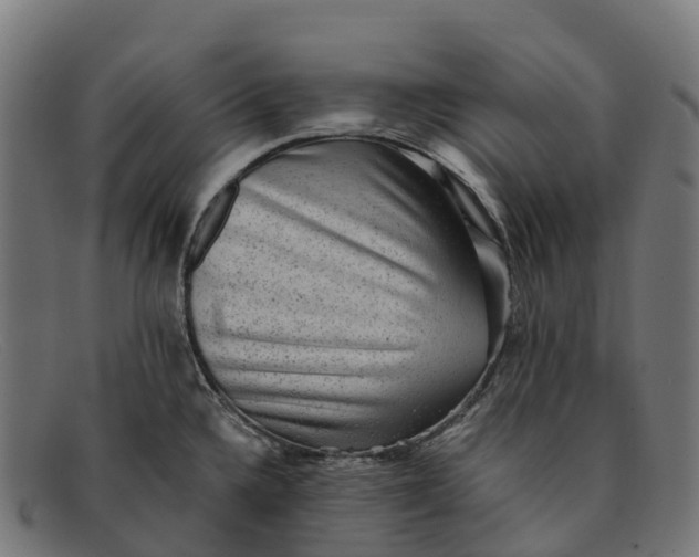 X0000091681336200709131540