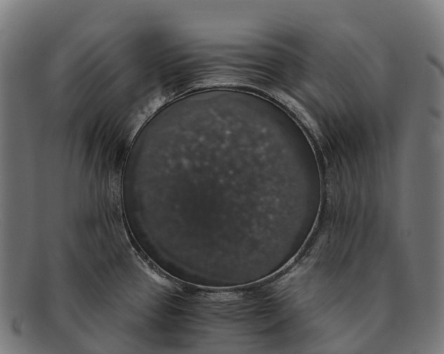 X0000091681337200709131540