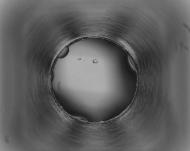 X0000091681340200709131540