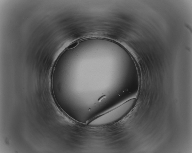 X0000091681341200709131540