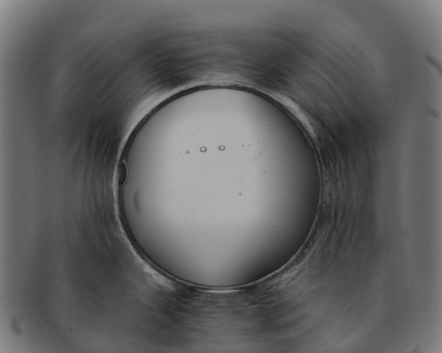 X0000091681343200709131540