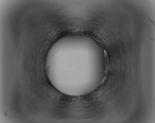 X0000091681345200709131540