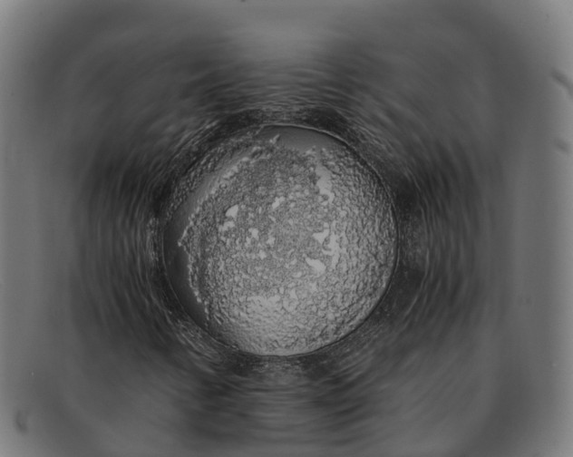 X0000091681346200709131540