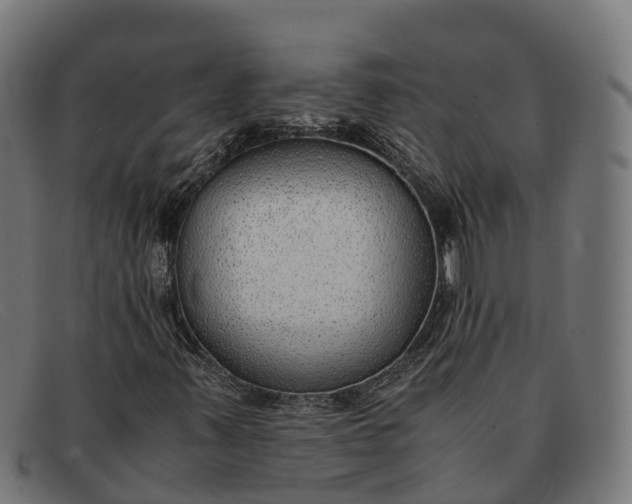 X0000091681347200709131539