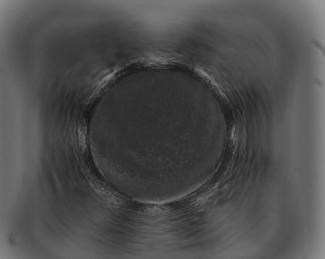 X0000091681348200709131539
