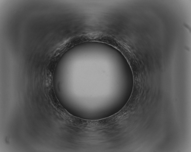 X0000091681349200709131539