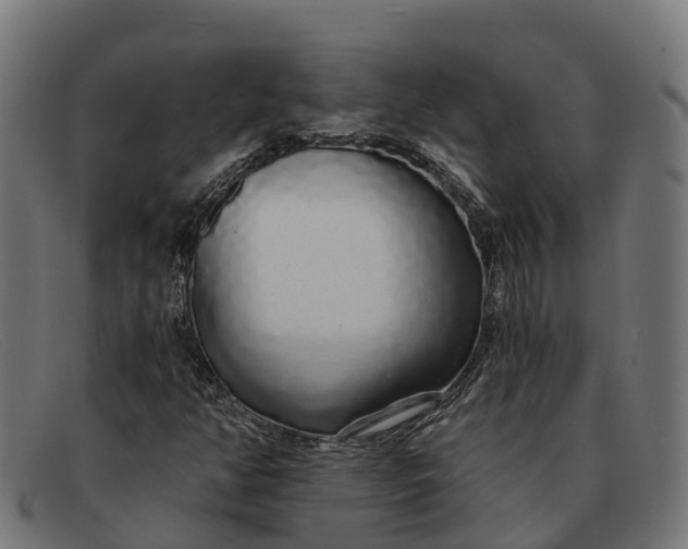 X0000091681350200709131539
