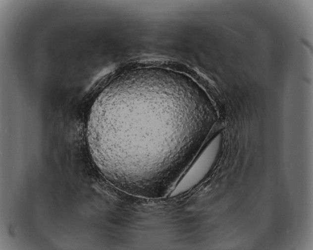X0000091681351200709131539