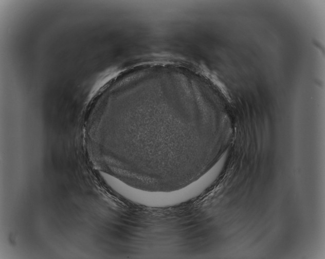 X0000091681352200709131539